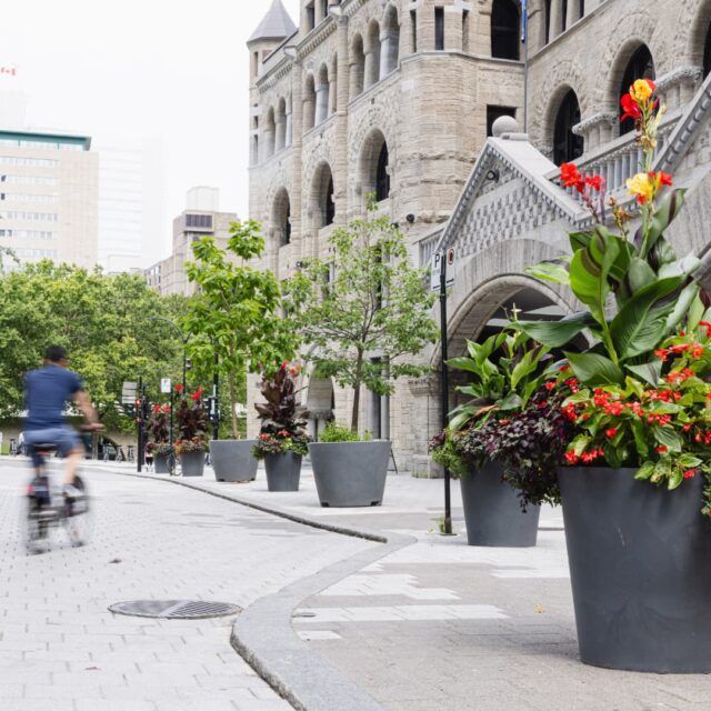 Verdissement de l'Avenue des Canadiens de Montréal