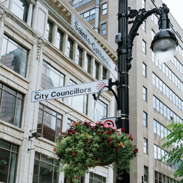 Jardinière suspendue au centre-ville de Montréal