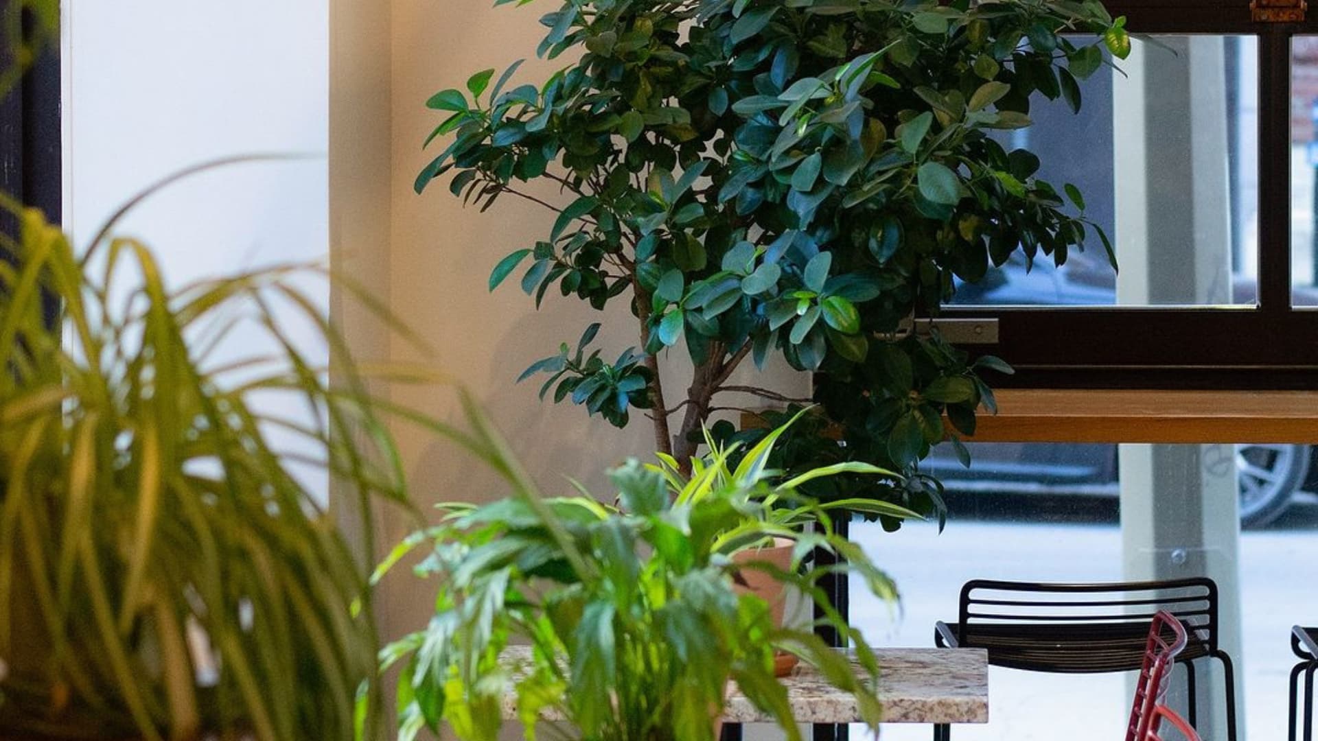 Le Melk Café, au centre-ville de Montréal