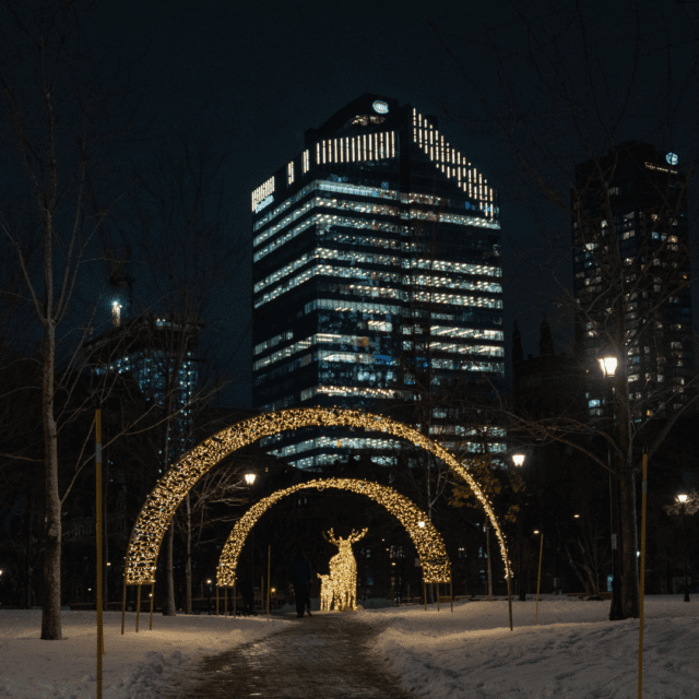 Illuminations hivernales du centre ville avec orignal géant