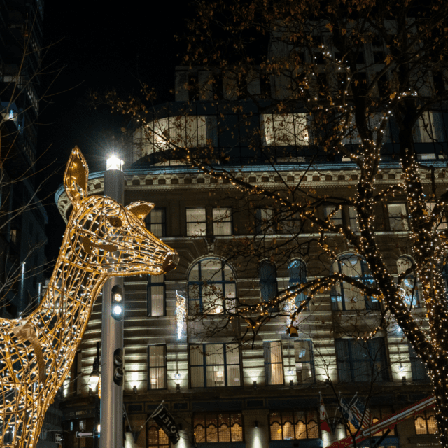 Biches pour les Illuminations hivernales du centre ville au square Phillips