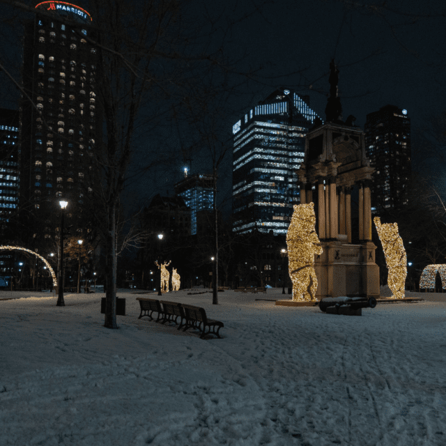 Illuminations hivernales à la Place du Canada avec des ours géants