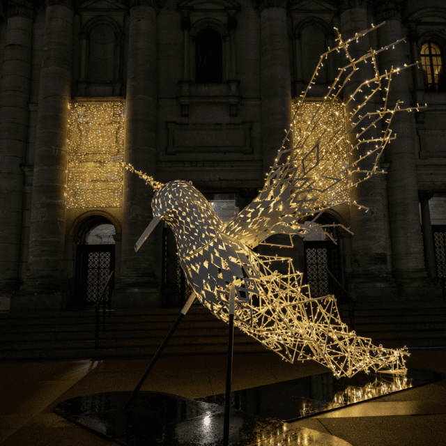 Oiseau géant pour les Illuminations hivernales du centre ville à la Cathédrale Marie Reine du Monde