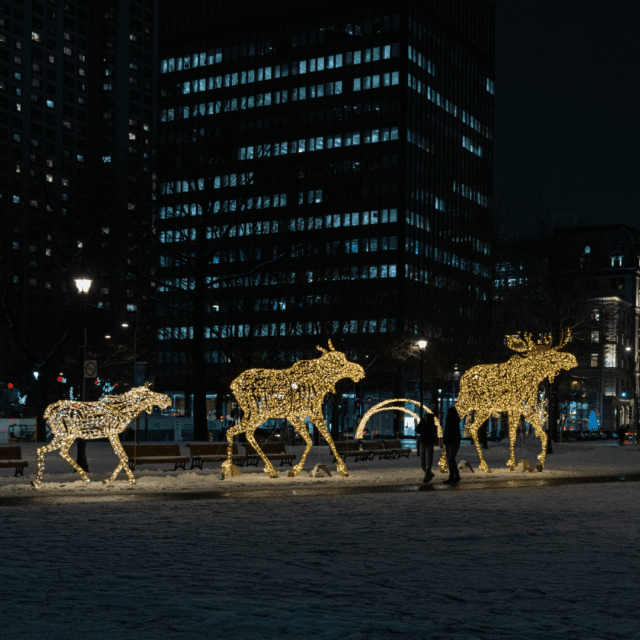 Famille d'orignaux pour les illuminations hivernales du centre-ville de Montréal