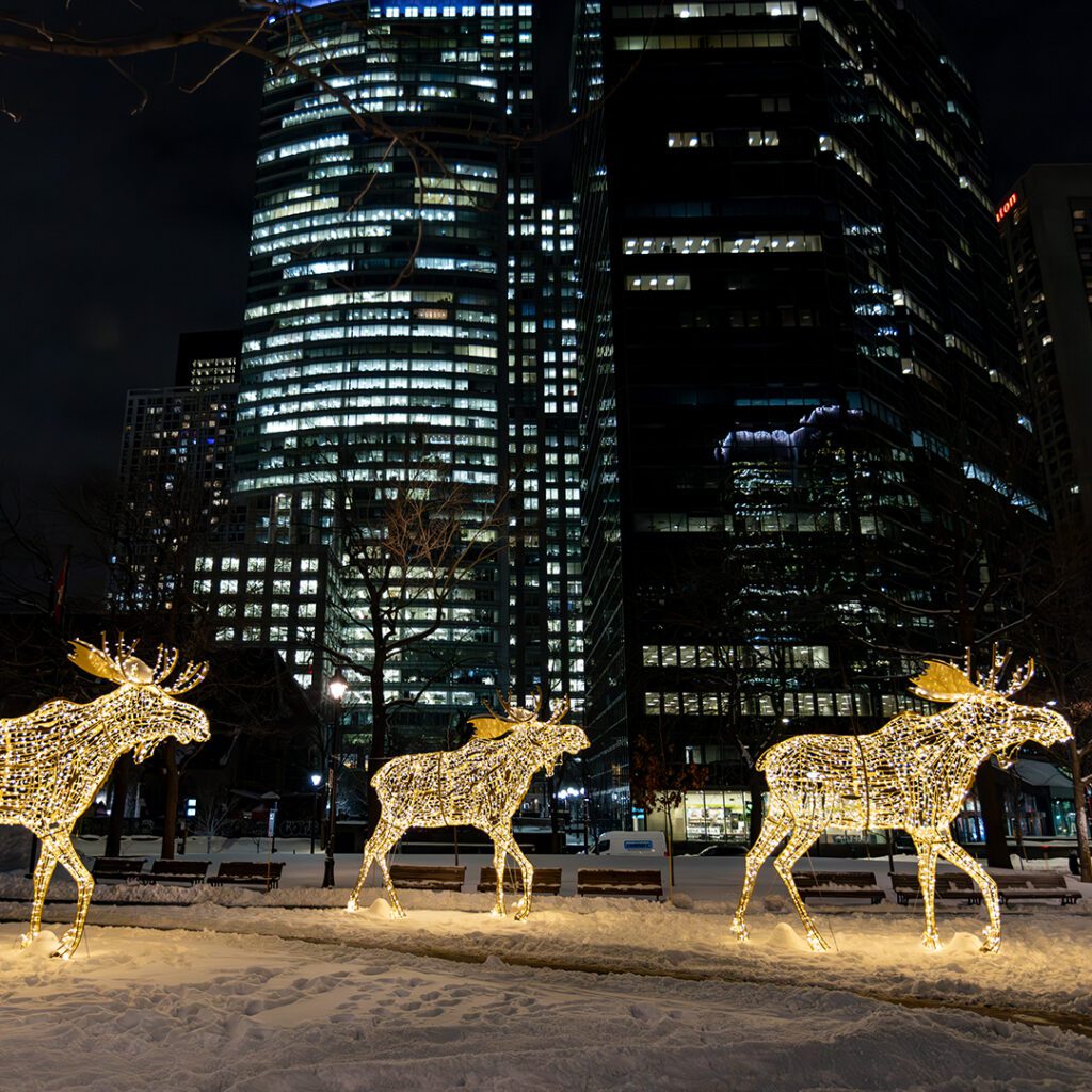 Orignaux lumineux géants au Square Dorchester, entourés par les gratte-ciels du centre-ville de Montréal.