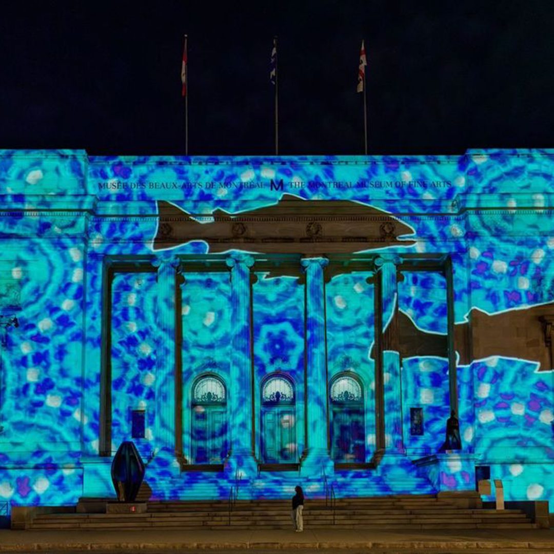 Projection au Musée des beaux-arts – Façade du musée illuminée de couleurs vives.