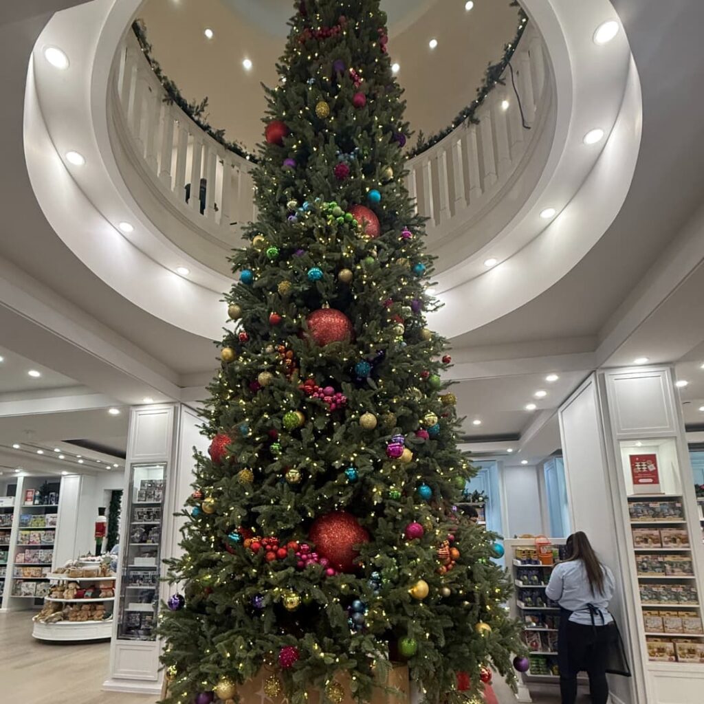 Le sapin de Noël aumilieu du magasin Lajoué