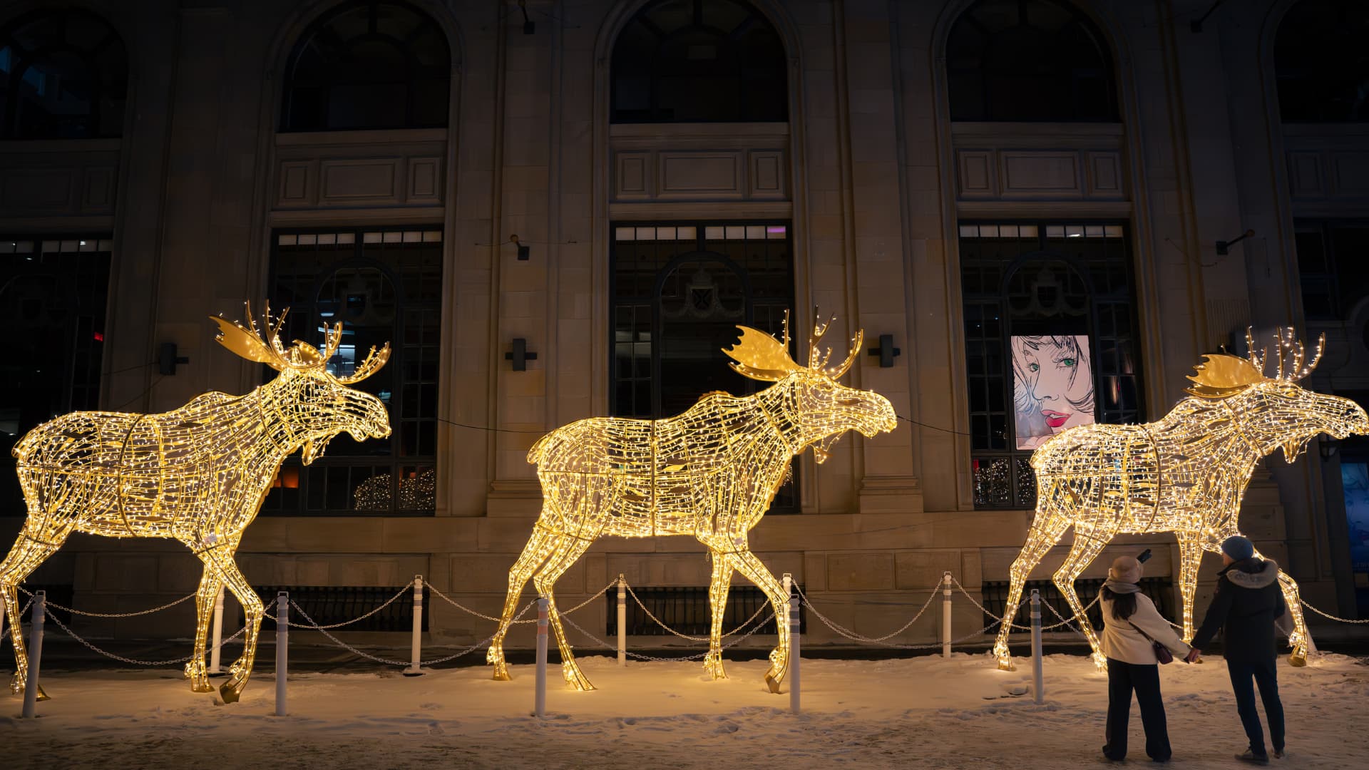 Les orignaux lumineux installés avenue McGill College, au centre-ville de Montréal